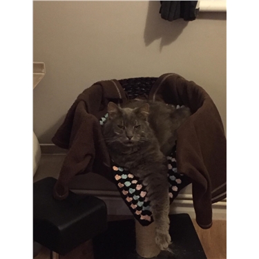 Success Homing Success Homing
