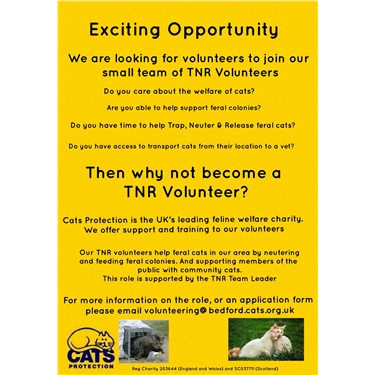 TNR Volunteering Opportunity