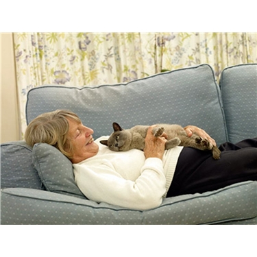 Caring for your cat... Caring for your cat...