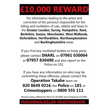 Cat killer strikes in Marlow Cat killer strikes in Marlow