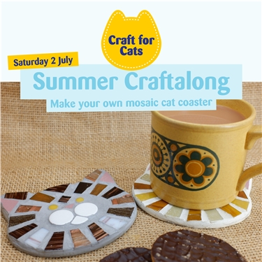 Summer Craft For Cats 