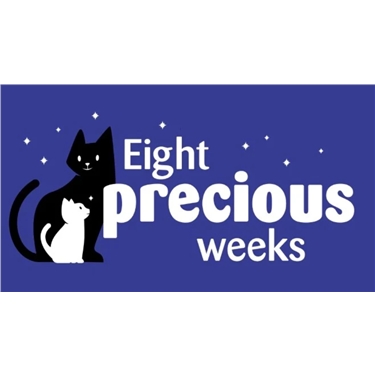 Eight Precious Weeks