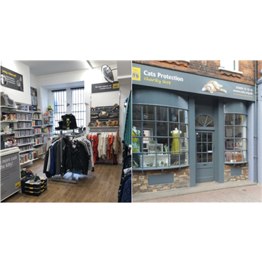 Cat protection shop hotsell