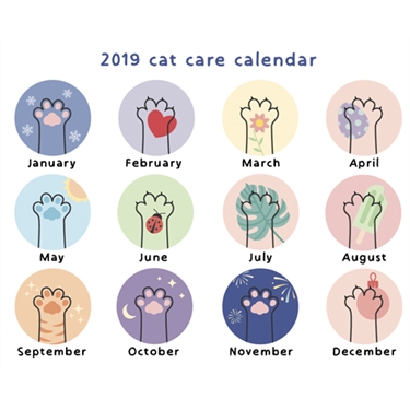 2019 Pet care calendar 2019 Pet care calendar