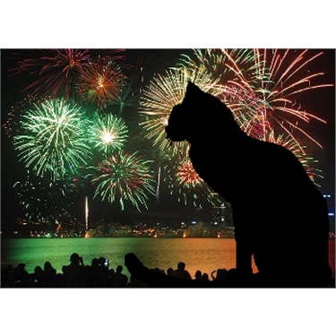 Cats and Fireworks