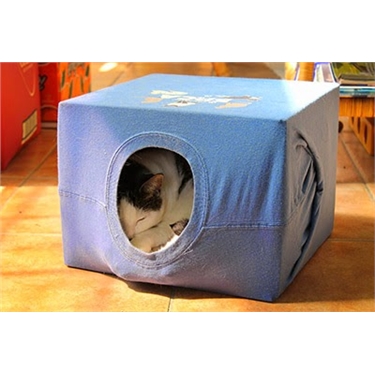cat privacy tent