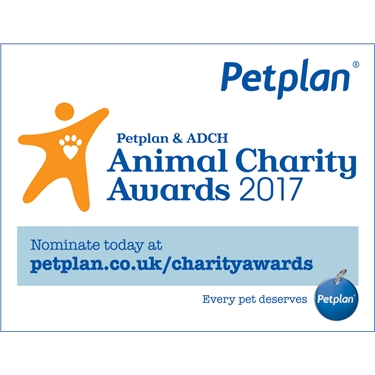 Nominate Cats Protection for an award Nominate Cats Protection for an award