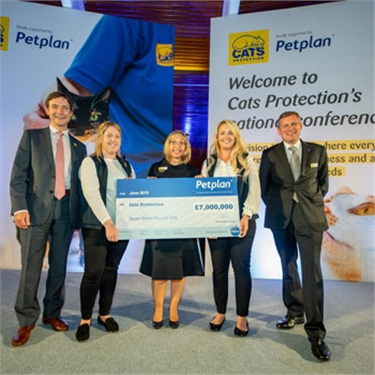 Petplan raises £7 million for Cats Protection!