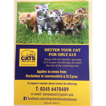 Neutering Campaign 2018 Neutering Campaign 2018