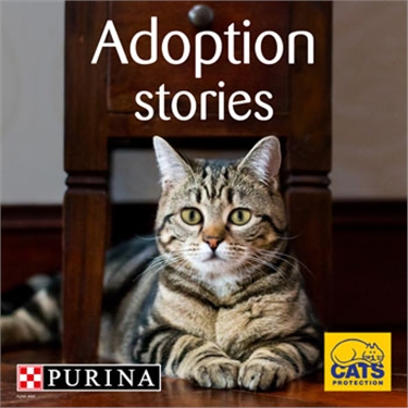 Cat adoption campaign: PURINA and Cats Protection collaboration