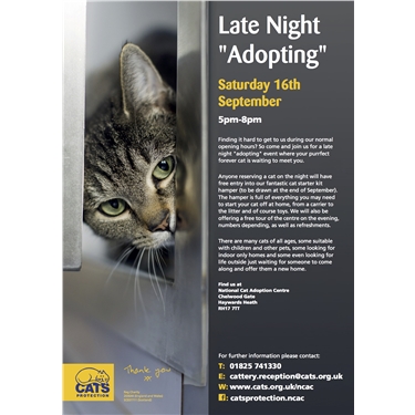 Late Night Adopting - A Success Story Late Night Adopting - A Success Story