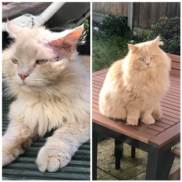 Before and After Before and After