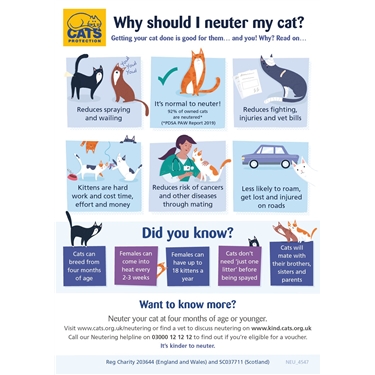 Neutering your cat