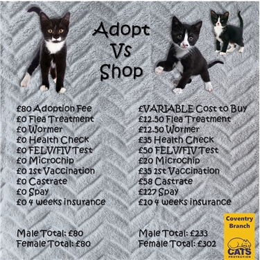 Adopt vs Shop