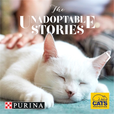 The Unadoptable Stories: PURINA and Cats Protection collaboration