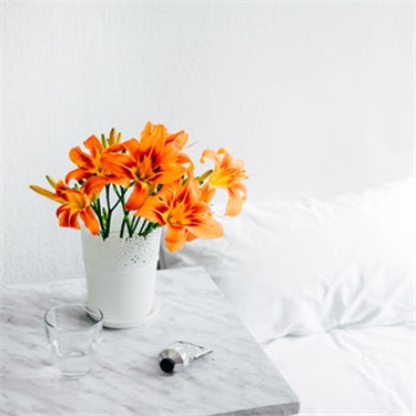 Make sure your flowers are feline-friendly Make sure your flowers are feline-friendly