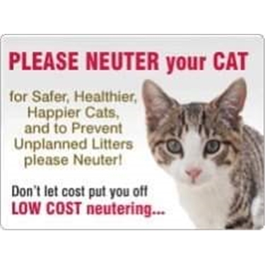 Please neuter your cat! Please neuter your cat!