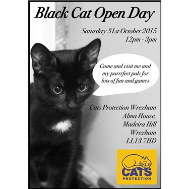 Black Cat Open Day 