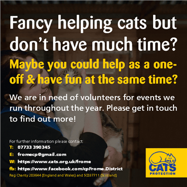 Fancy helping cats but don Fancy helping cats but don