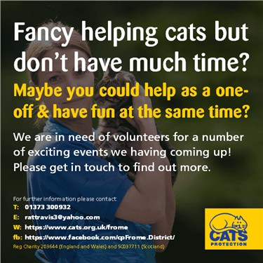 Fancy helping cats but don Fancy helping cats but don
