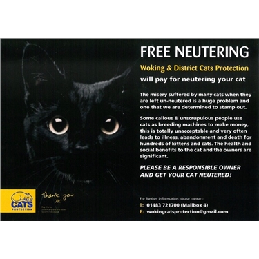 Free neutering
