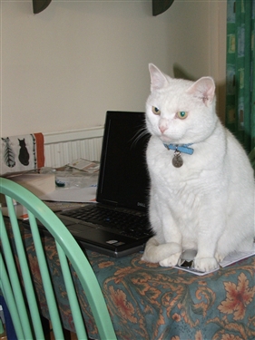 Sign-up for our e-newsletter Sign-up for our e-newsletter