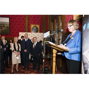 Parliamentary launch of UK