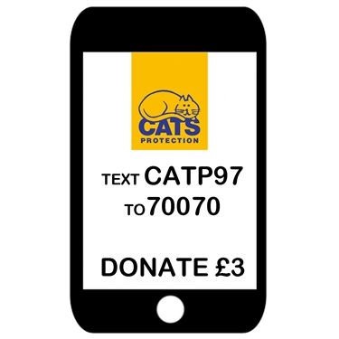 Text Your Support Text Your Support