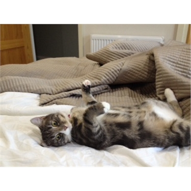 News from Rosie (Monty) News from Rosie (Monty)