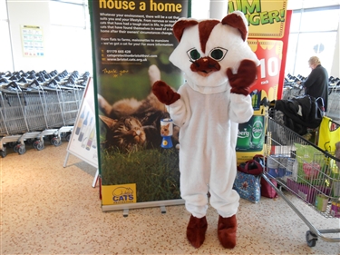 Please welcome Suki, our latest recruit Please welcome Suki, our latest recruit