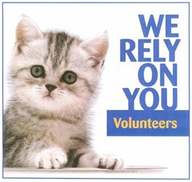 volunteer cat volunteers needed cats care help rely animal opportunities please protection november shelter