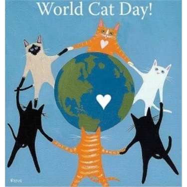 WORLD CAT DAY!