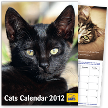 2012 Calendars & Diaries Available In Shop