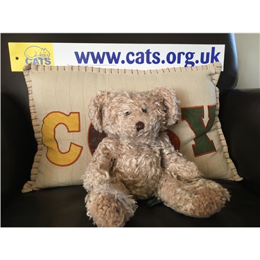 TEDDY BEAR APPEAL! TEDDY BEAR APPEAL!