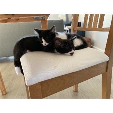 Molly and Lilly
