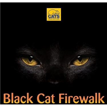 Black Cat Firewalk: Sign up today Black Cat Firewalk: Sign up today