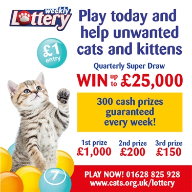 Play the Cats Protection Weekly Lottery and help the cats Play the Cats Protection Weekly Lottery and help the cats