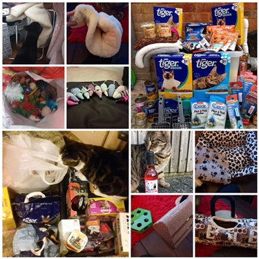 Random Acts of Kindness Day 2019 Random Acts of Kindness Day 2019