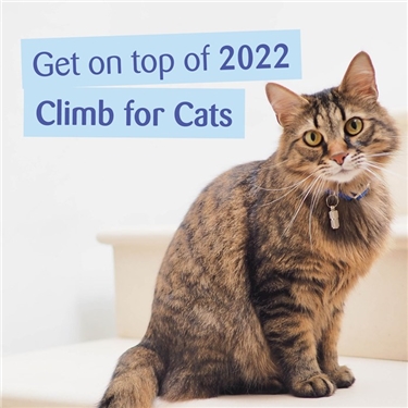 #Climbforcats
