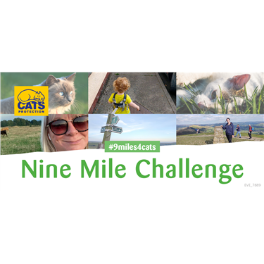 Fun - Challenge - 9 miles your own way!