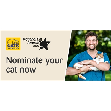 Could yours be cat of the year? 