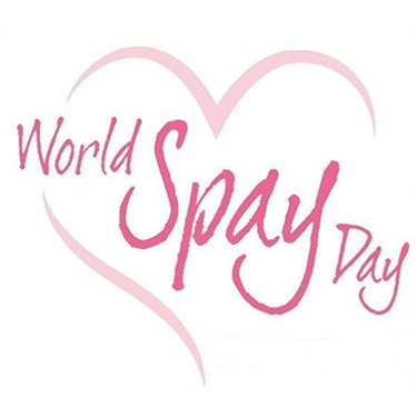 World Spay Day