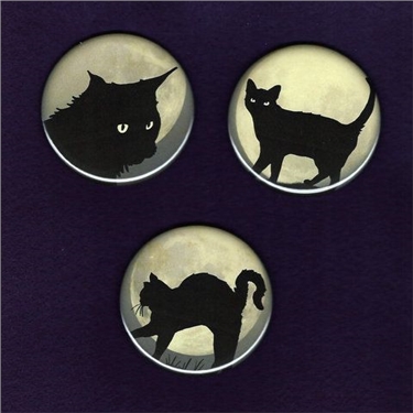 Three Timid Black Cats
