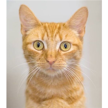 First rehoming day of 2019 First rehoming day of 2019