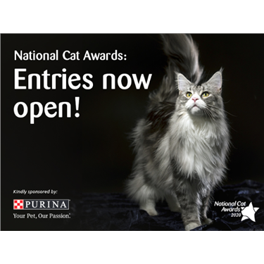 Entries for Cats Protection Entries for Cats Protection