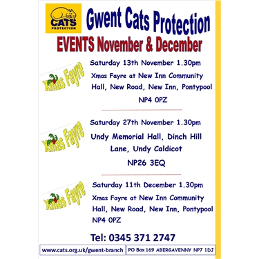 EVENTS in November & December EVENTS in November & December
