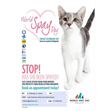 Cats Protection supports World Spay Day! Cats Protection supports World Spay Day!