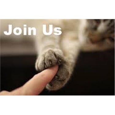 Join us today and help cats and kittens in your community