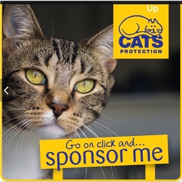 Help Suzan reach her target! Help Suzan reach her target!