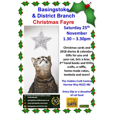 Christmas Fayre frolics! Christmas Fayre frolics!